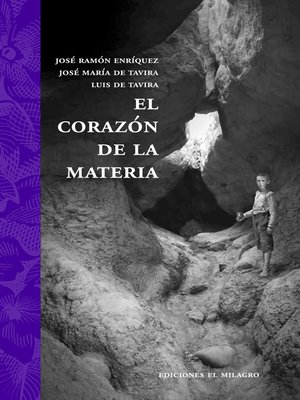 cover image of El corazón de la materia
